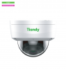 IP камера Tiandy TC-NC552S