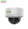 IP камера Tiandy TC-NC552S